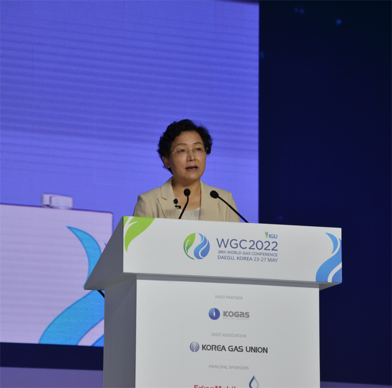 李雅兰：充分发挥天然气优势 助力亚洲实现碳中和